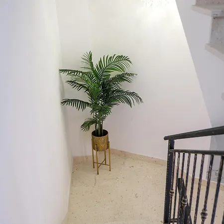 Panzió Prisca Luxury With Breakfast 4*